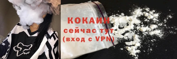 прущий лед Богородицк